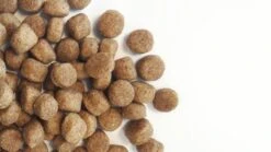 Carocroc Senior Silver 18/10 - Hondenvoer - 15 Kg 20 Carocroc Senior Silver 18/10 - Hondenvoer - 15 Kg -Exporteren Alles Voor Honden Winkel 1200x675 6