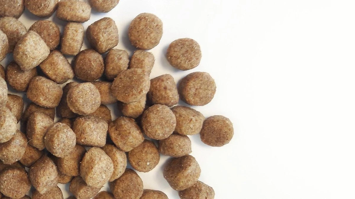 Carocroc Senior Silver 18/10 - Hondenvoer - 15 Kg 8 Carocroc Senior Silver 18/10 - Hondenvoer - 15 Kg - Afbeelding 6