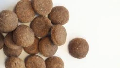 Carocroc Large Breed - Hondenvoer - 15 Kg 16 Carocroc Large Breed - Hondenvoer - 15 Kg -Exporteren Alles Voor Honden Winkel 1200x675 7