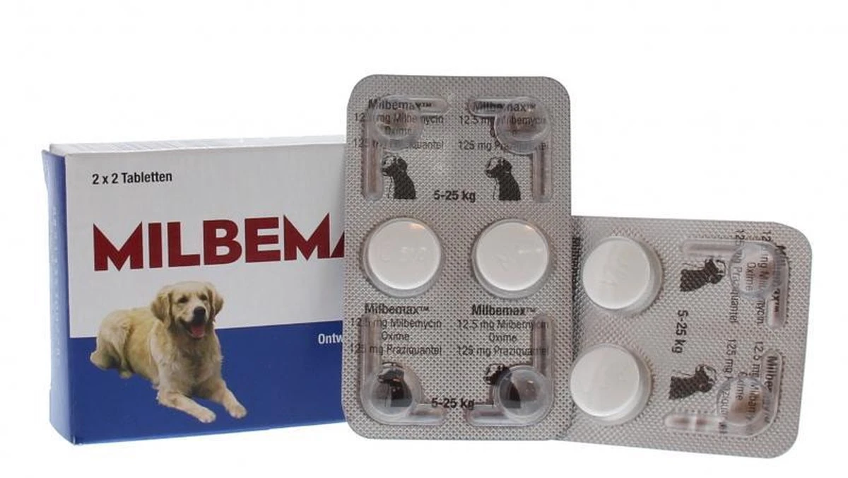 Milbemax Grote Hond 2x2 Tabletten - 1 ST à 2 X 2 TABL 8 Milbemax Grote Hond 2x2 Tabletten - 1 ST à 2 X 2 TABL - Afbeelding 6