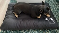 Hondenkussen XL - Donkergrijs - 60 X 90 X 12 -Exporteren Alles Voor Honden Winkel 1200x685 3