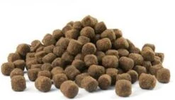 VERSELE-LAGA Opti Life Adult Mini - 7,5 Kg -Exporteren Alles Voor Honden Winkel 1200x689