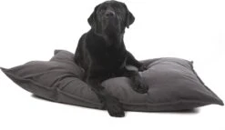 Lex & Max Tivoli - Losse Hoes Voor Hondenkussen - Rechthoek - Antraciet - 100x70cm 10 Lex & Max Tivoli - Losse Hoes Voor Hondenkussen - Rechthoek - Antraciet - 100x70cm -Exporteren Alles Voor Honden Winkel 1200x695 2