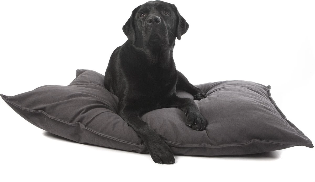 Lex & Max Tivoli - Losse Hoes Voor Hondenkussen - Rechthoek - Antraciet - 100x70cm 6 Lex & Max Tivoli - Losse Hoes Voor Hondenkussen - Rechthoek - Antraciet - 100x70cm - Afbeelding 4