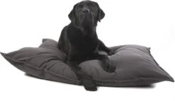 Lex & Max Tivoli - Hondenkussen - Rechthoek - 100x70cm - Grijs 9 Lex & Max Tivoli - Hondenkussen - Rechthoek - 100x70cm - Grijs -Exporteren Alles Voor Honden Winkel 1200x695 5