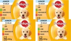 Pedigree Pouch Junior Multipack - Hondenvoer - 4 X 12x100 G -Exporteren Alles Voor Honden Winkel 1200x701