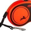 Flexi Rollijn Xtreme Tape - Hondenriem - 8 M Oranje Zwart L 1 Flexi Rollijn Xtreme Tape - Hondenriem - 8 M Oranje Zwart L -Exporteren Alles Voor Honden Winkel 1200x705 2