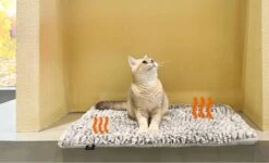 Merkloos Zelfverwarmende Dierendeken Zonder Stroom Thermo Deken Hond Kat Inclusief Adreslabel 70 X 47 Cm 18 Merkloos Zelfverwarmende Dierendeken Zonder Stroom Thermo Deken Hond Kat Inclusief Adreslabel 70 X 47 Cm -Exporteren Alles Voor Honden Winkel 1200x730 8