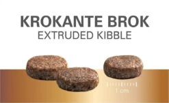 Prins Protection Croque Junior - Performance - Hondenvoer - 10 Kg -Exporteren Alles Voor Honden Winkel 1200x734 5