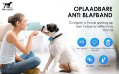 PetFriends Anti Blafband Zonder Schok - Gratis Hondenfluit - USB Oplaadbaar - Anti Blaf Apparaat - Opvoedingshalsband - Voor Grote En Kleine Honden 19 PetFriends Anti Blafband Zonder Schok - Gratis Hondenfluit - USB Oplaadbaar - Anti Blaf Apparaat - Opvoedingshalsband - Voor Grote En Kleine Honden -Exporteren Alles Voor Honden Winkel 1200x742 1