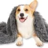 Fluffy Blanket - Pluche Hondendeken - 120 X 100 CM - Grijs - Voor De Auto Of Bank - Fleece -Exporteren Alles Voor Honden Winkel 1200x749 3