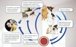 Beaphar Milquestra Kleine Hond/Puppy - Ontwormingsmiddel - 2 Tabletten -Exporteren Alles Voor Honden Winkel 1200x751 4