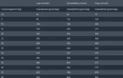 Prins Procare Lam/Rijst - 15 KG -Exporteren Alles Voor Honden Winkel 1200x759