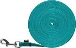 Trixie Hondenriem Sleeplijn Met Rubber Turquoise 12 Trixie Hondenriem Sleeplijn Met Rubber Turquoise -Exporteren Alles Voor Honden Winkel 1200x762 3