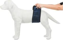 Trixie Plasband Voor Reuen Blauw S 29/37cm -Exporteren Alles Voor Honden Winkel 1200x763 2