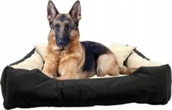 Ecco - Honden- En Kattenbed Met Kussen | Binnenmaat: 130x100 / Buitenmaat: 145x115cm - Beige / Zwart -Exporteren Alles Voor Honden Winkel 1200x772 3