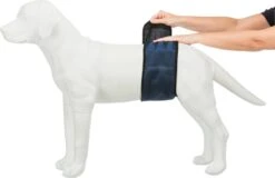 Trixie Plasband Voor Reuen Blauw S 29/37cm -Exporteren Alles Voor Honden Winkel 1200x775 1