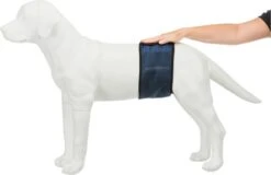 Trixie Plasband Voor Reuen Blauw S 29/37cm -Exporteren Alles Voor Honden Winkel 1200x777 1