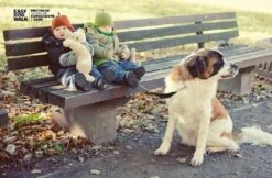 WAW Easy Dog Walk 'schokdemper' Zwart - XXL - >40 Kg -Exporteren Alles Voor Honden Winkel 1200x785 5