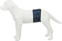 Trixie Plasband Voor Reuen Blauw S 29/37cm -Exporteren Alles Voor Honden Winkel 1200x790 1