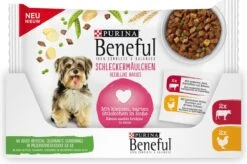 Beneful Pouch - Hondenvoer Kip & Rund In Saus - 40 X 100 G 7 Beneful Pouch - Hondenvoer Kip & Rund In Saus - 40 X 100 G -Exporteren Alles Voor Honden Winkel 1200x796