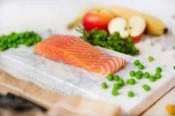 Kivo Petfood Hondenbrokken Zalm & Rijst 14 Kg Koudgeperst - Glutenvrij -Exporteren Alles Voor Honden Winkel 1200x799 1