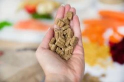 Kivo Petfood Hondenbrokken Zalm & Rijst 14 Kg Koudgeperst - Glutenvrij -Exporteren Alles Voor Honden Winkel 1200x799