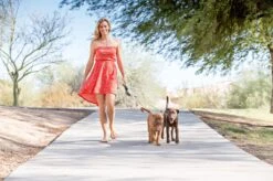 Wigzi Dual Doggie 2.0 Voor Twee Honden - Hondenriem - Grijs - 3m - <22 Kg (per Hond) -Exporteren Alles Voor Honden Winkel 1200x799 30