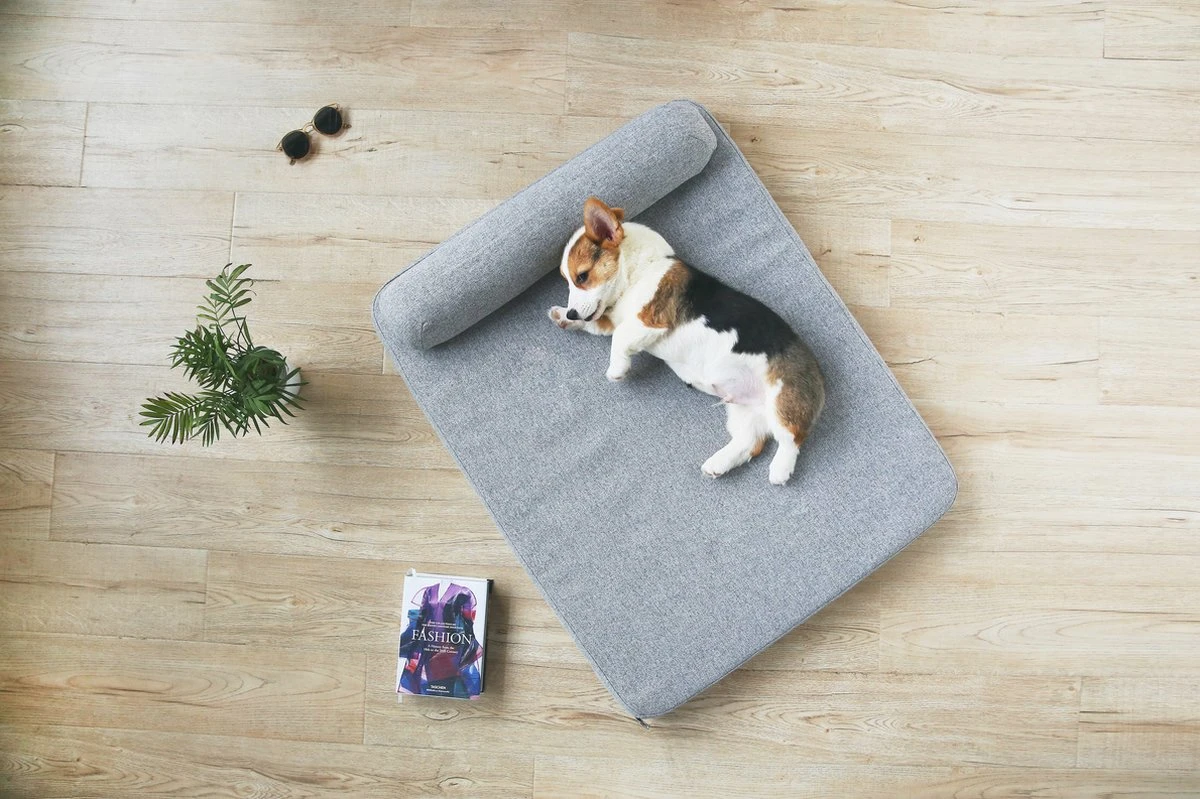 PETKIT® Deep Sleep Bed - Hondenmand - Kattenmand - Memory Foam - Orthopedisch - Maat M 5 PETKIT® Deep Sleep Bed - Hondenmand - Kattenmand - Memory Foam - Orthopedisch - Maat M - Afbeelding 3