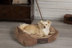 Hondenmand Zacht En Stevig, Anti-Slip En Wasbaar - Scruffs Chester Box Bed - In Grijs En Bruin In Maat S Tot XL - Kleur: Grijs, Maat: Large -Exporteren Alles Voor Honden Winkel 1200x799 39