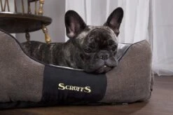 Hondenmand Zacht En Stevig, Anti-Slip En Wasbaar - Scruffs Chester Box Bed - In Grijs En Bruin In Maat S Tot XL - Kleur: Grijs, Maat: Large -Exporteren Alles Voor Honden Winkel 1200x799 40