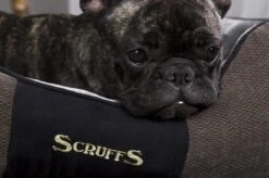 Hondenmand Zacht En Stevig, Anti-Slip En Wasbaar - Scruffs Chester Box Bed - In Grijs En Bruin In Maat S Tot XL - Kleur: Grijs, Maat: Large -Exporteren Alles Voor Honden Winkel 1200x799 44