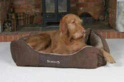 Hondenmand Zacht En Stevig, Anti-Slip En Wasbaar - Scruffs Chester Box Bed - In Grijs En Bruin In Maat S Tot XL - Kleur: Grijs, Maat: Medium -Exporteren Alles Voor Honden Winkel 1200x799 51