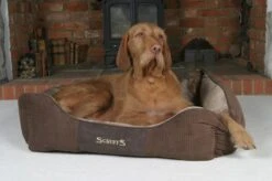 Hondenmand Zacht En Stevig, Anti-Slip En Wasbaar - Scruffs Chester Box Bed - In Grijs En Bruin In Maat S Tot XL - Kleur: Grijs, Maat: Medium -Exporteren Alles Voor Honden Winkel 1200x799 52