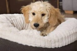 Scruffs Ellen Donut - Warme Hondenmand Van Imitatiebont - Kleur Grijs, Roze Of Bruin - Maat M Of L - Kleur: Grijs, Maat: Medium -Exporteren Alles Voor Honden Winkel 1200x799 57