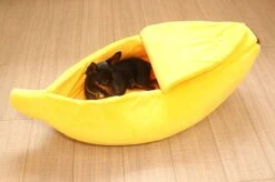 N/A Kattenhuis Banaan L - Hondenhuis Banaan L - 65x25x18 Cm - Kattenmand - Hondenmand - Dierenmand - Cadeau Kat -Exporteren Alles Voor Honden Winkel 1200x799 61