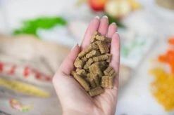 Kivo Petfood Hondenbrokken Kip & Rijst 14 Kg Koudgeperst - Glutenvrij -Exporteren Alles Voor Honden Winkel 1200x799 8