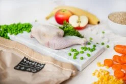 Kivo Petfood Hondenbrokken Kip & Rijst 14 Kg Koudgeperst - Glutenvrij -Exporteren Alles Voor Honden Winkel 1200x799 9