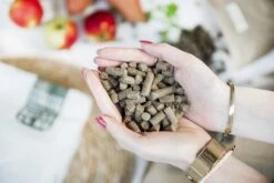 Kivo Petfood - PROEFZAKJE Hondenbrokken Verse Eend 300 Gr - Koudgeperst - Graanvrij -Exporteren Alles Voor Honden Winkel 1200x800 1