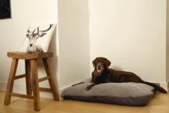 Beeztees Ruba - Orthopedisch Hondenkussen - Grijs - 100x70cm 8 Beeztees Ruba - Orthopedisch Hondenkussen - Grijs - 100x70cm -Exporteren Alles Voor Honden Winkel 1200x800 114