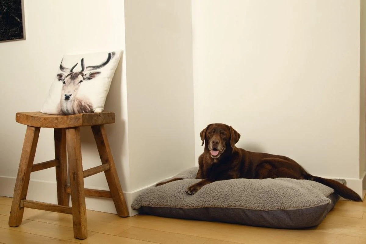 Beeztees Ruba - Orthopedisch Hondenkussen - Grijs - 100x70cm 5 Beeztees Ruba - Orthopedisch Hondenkussen - Grijs - 100x70cm - Afbeelding 3