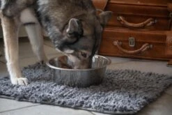 Royal Dry Absorberende Anti-knoeimat Voor Honden – Trekt Vuil Als Een Spons – Laat Geen Vocht Door – 61x45 Cm – Microfiber Chenille – Geschikt Voor Honden En Overige Huisdieren -Exporteren Alles Voor Honden Winkel 1200x800 116