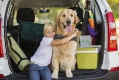 Thundershirt Antistress Vest - Dieren Antistressmiddel - Hond - Grijs - S - 43-53 Cm 20 Thundershirt Antistress Vest - Dieren Antistressmiddel - Hond - Grijs - S - 43-53 Cm -Exporteren Alles Voor Honden Winkel 1200x800 125