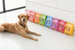 Edgard & Cooper Verse Scharreleend & Kip Puppy - Hondenvoer - 7kg 26 Edgard & Cooper Verse Scharreleend & Kip Puppy - Hondenvoer - 7kg -Exporteren Alles Voor Honden Winkel 1200x800 16