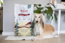 Kivo Petfood - PROEFZAKJE Hondenbrokken Verse Eend 300 Gr - Koudgeperst - Graanvrij -Exporteren Alles Voor Honden Winkel 1200x800 2