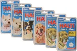 Halti Headcollar - Maat 2 16 Halti Headcollar - Maat 2 -Exporteren Alles Voor Honden Winkel 1200x800 44