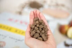 Kivo Petfood Hondenbrokken Verse Kip - 14 Kg - Koudgeperst - Glutenvrij -Exporteren Alles Voor Honden Winkel 1200x800 5