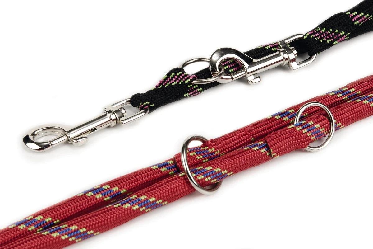 Beeztees - Hondenriem - Verstelbaar - Zwart - 200 Cm X 13 Mm 4 Beeztees - Hondenriem - Verstelbaar - Zwart - 200 Cm X 13 Mm - Afbeelding 2