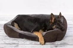 Hondenmand Zacht En Stevig, Anti-Slip En Wasbaar - Scruffs Chester Box Bed - In Grijs En Bruin In Maat S Tot XL - Kleur: Grijs, Maat: Large -Exporteren Alles Voor Honden Winkel 1200x800 92