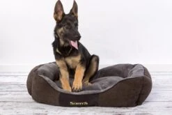 Hondenmand Zacht En Stevig, Anti-Slip En Wasbaar - Scruffs Chester Box Bed - In Grijs En Bruin In Maat S Tot XL - Kleur: Grijs, Maat: Large -Exporteren Alles Voor Honden Winkel 1200x800 93